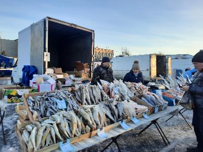 Более 25 000 кг мяса, молока, рыбы, кондитерских изделий, овощей и фруктов привезли сельхозтоваропроизводители на ярмарку на Театральную площадь