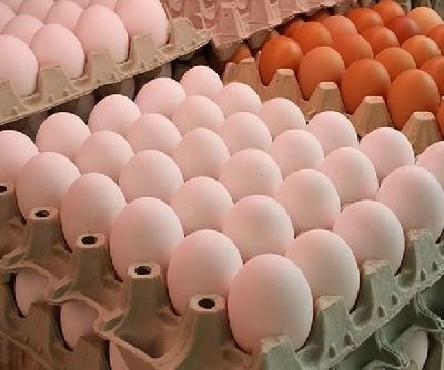 35 000 яиц привезли сельхозтоваропроизводители области на ярмарки «выходного дня»