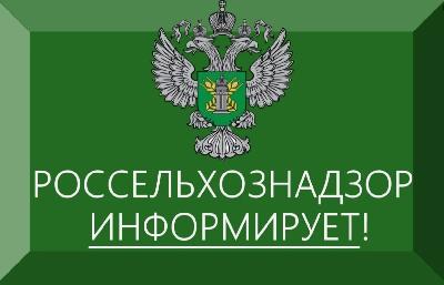 Важная информация для сельхозтоваропроизводителей – экспортеров зерновых культур