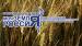 Прием заявок для участия во Всероссийском конкурсе «Моя земля – Россия» продлен до 8 ноября
