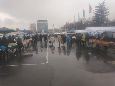 143 сельхозтоваропроизводителя привезли свою продукцию на ярмарку "выходного дня" на Театральной площади