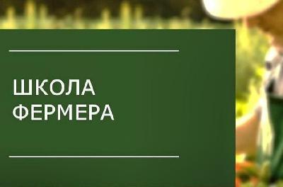 Фонд поддержки сельскохозяйственных инициатив проводит конкурс для выпускников «Школы фермера»