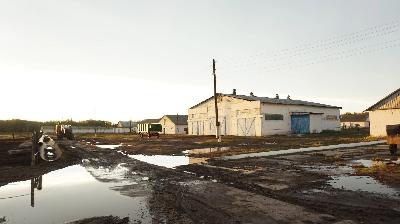 В Аткарском районе планируется открыть роботизированный племенной завод