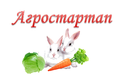 Результаты конкурсного отбора на предоставление грантов «Агростартап»