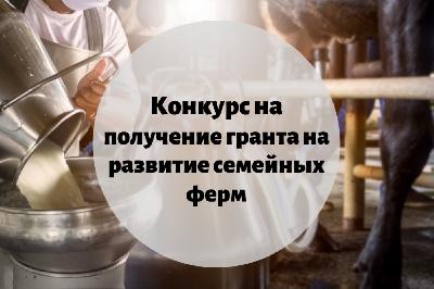 Животноводы области смогут получить до 15 млн рублей на развитие семейных ферм
