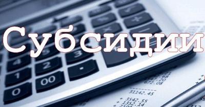 Стартовал отбор получателей субсидий на возмещение части затрат на поддержку элитного семеноводства 