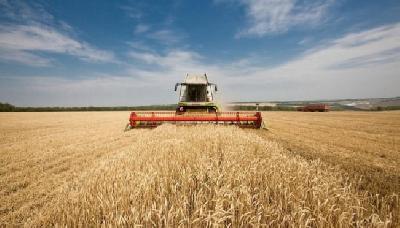 Кредитование сезонных плевых работ увеличилось на 27,4%