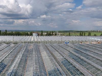 О развитии овощеводства закрытого грунта Саратовской области