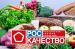 Продолжается прием заявок на соискание премии за достижения в развитии российской органической продукции 