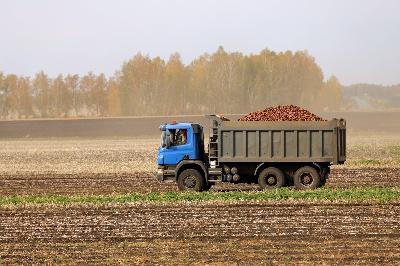В области обмолочено 90% площадей зерновых и зернобобовых культур
