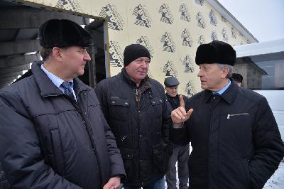 В п. Первомайский Ртищевского района начала работать новая молочная ферма