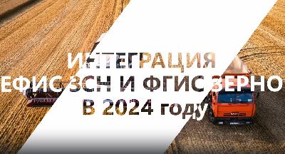 Интеграция ЕФИС ЗСН и ФГИС «Зерно»: как получить консультации  