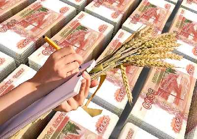 Производители зерновых культур региона могут получить субсидии 
