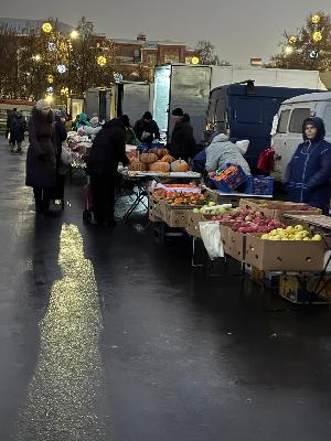 Сегодня на Театральной площади проводится первая зимняя ярмарка выходного дня 