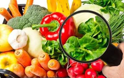 Повышение качества пищевой продукции — главная задача производителей