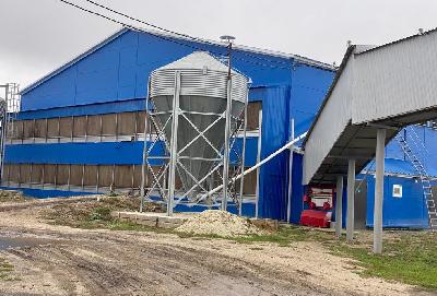 На Лысогорской птицефабрике продолжается реконструкция цехов