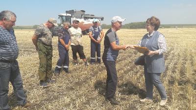 Татьяна Кравцева: «Уборочная кампания в Саратовской области набирает темпы»