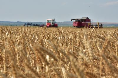 Реализация зерна в Саратовской области выросла в два раза