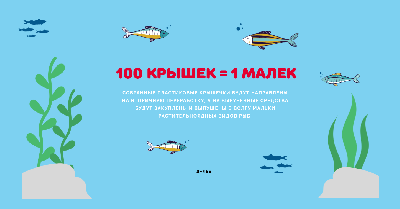 Жители области приглашаются к участию в проекте «Водорослям крышка: развиваем экокультуру»