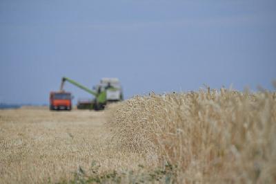 В Саратовской области собрано свыше 3 млн тонн зерна урожая-2020