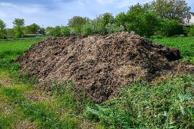 Изменения законодательства: со 2 мая  в России начинают действовать штрафы за неправильное обращение с навозом 