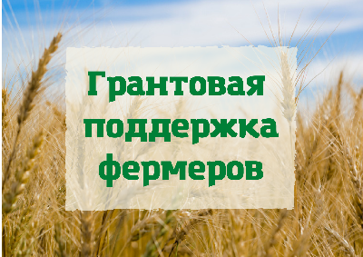 Список заявителей на получение гранта «Агростартап» в 2023 году, включенных в резервный список 