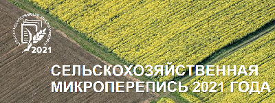 Число фермерских хозяйств в области сократилось, их размеры выросли - Саратовстат