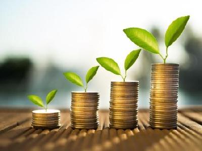 Минсельхоз РФ: в 2021 году в стране будет застраховано порядка 8% всей посевной площади