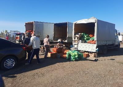 В муниципальных районах области прошли осенние сельскохозяйственные ярмарки 