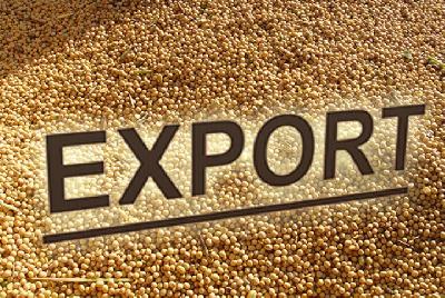 В рамках регионального проекта «Экспорт продукции АПК» финансовую поддержку получают местные производители масличных культур