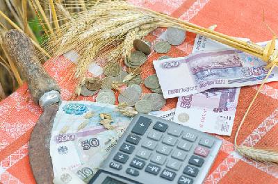 Министерство  сельского хозяйства Саратовской области продолжает работу по доведению средств государственной поддержки  сельхозтоваропроизводителям 