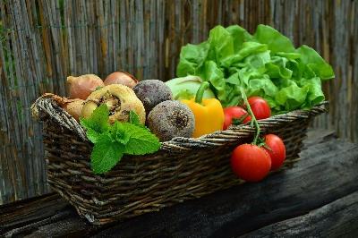 Местные сельхозтоваропроизводители представят свою продукцию на ярмарках выходного дня