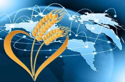 Саратовская область сохраняет лидирующие позиции по экспорту продукции АПК в ПФО 
