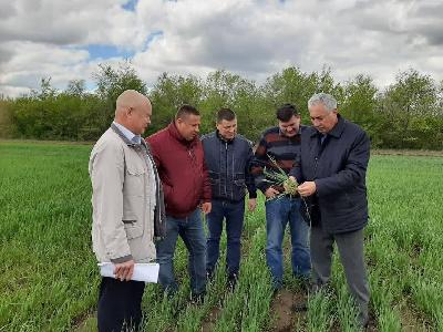 Заместитель Председателя Правительства области - министр сельского хозяйства области Роман Ковальский в рамках рабочего визита посетил Советский и Краснокутский муниципальные районы