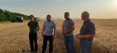 В ходе уборочной кампании-2021 на полях области обмолочено 57% га зерновых
