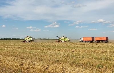 Аграрии Энгельсского района продолжают уборку зерновых и технических культур 