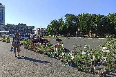 Порядка 80-ти торговых мест работало на ярмарке «выходного дня» в минувшую субботу