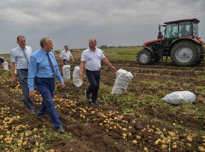 Глава региона: «Саратовские качественные овощи и картофель составят хорошую конкуренцию привозной продукции»