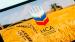 Саратовская область вошла в топ-10 регионов России по площади застрахованных посевов