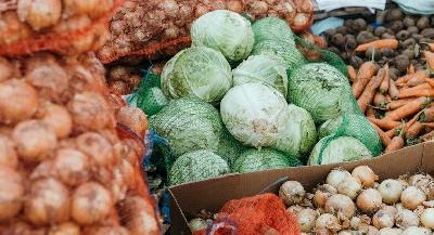 Прошли сельскохозяйственные ярмарки 
