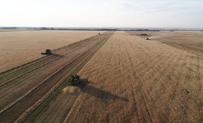 Саратовские хлеборобы перешагнули  отметкеу в 2,5 млн тонн зерна