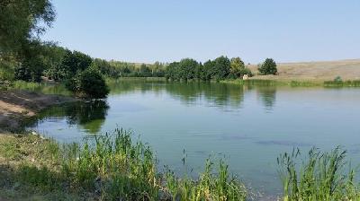 Продолжается закачка воды в пруды и водоемы Левобережья