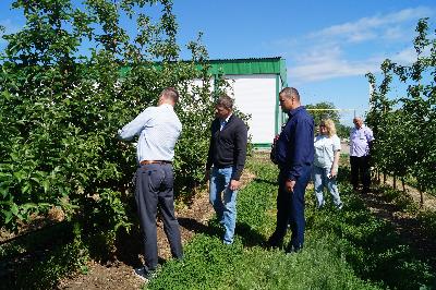 В Марксовском районе строится современное фруктохранилище 