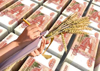 Производители зерновых культур региона получат дополнительную господдержку на 409,6 млн рублей