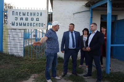 Мониторинг хода подготовки хозяйств области к предстоящему зимне-стойловому содержанию сельскохозяйственных животных