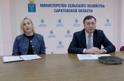 Заместитель министра сельского хозяйства области по экономике и финансам Марат Алимбеков рассказал о новшествах в госсподдержке АПК