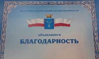 Работники АПК Турковского района отмечены благодарностями Губернатора и минсельхоза области 