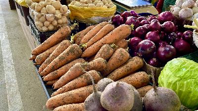 Жителей Саратова приглашают на Театральную площадь за овощами борщевого набора и мясом