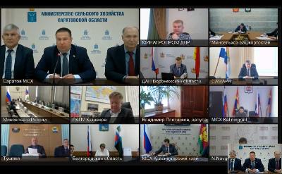 Роман Ковальский доложил Министру сельского хозяйства Дмитрию Патрушеву о готовности региона к весенним полевым работам