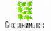 Роман Ковальский принял участие в торжественном мероприятии, посвященном началу Всероссийской акции «Сохраним лес» в Саратовской области